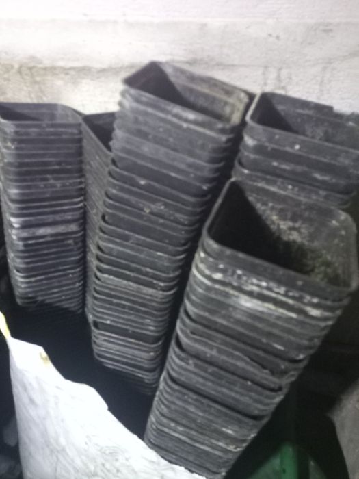 Doniczka doniczki p9 szkółkarskie szkółkarstwo tuje