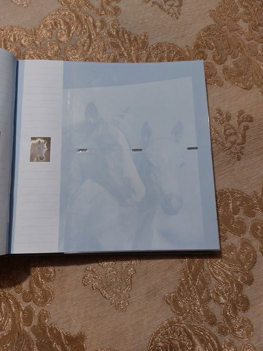 Фотоальбом (200 фото)