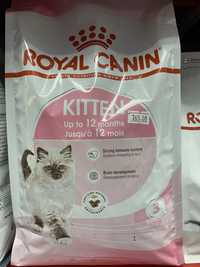 Royal Canin Kitten