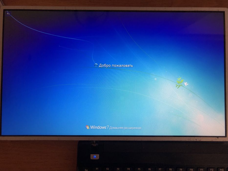 Матриця ноутбука 15,6” 40-pin глянцева