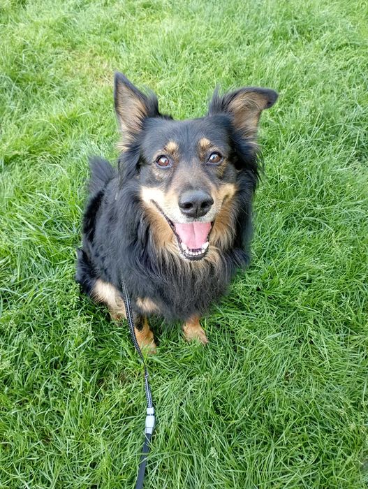 Hotel dla zwierząt w siedzibie przychodni Wojciecha Toczka.