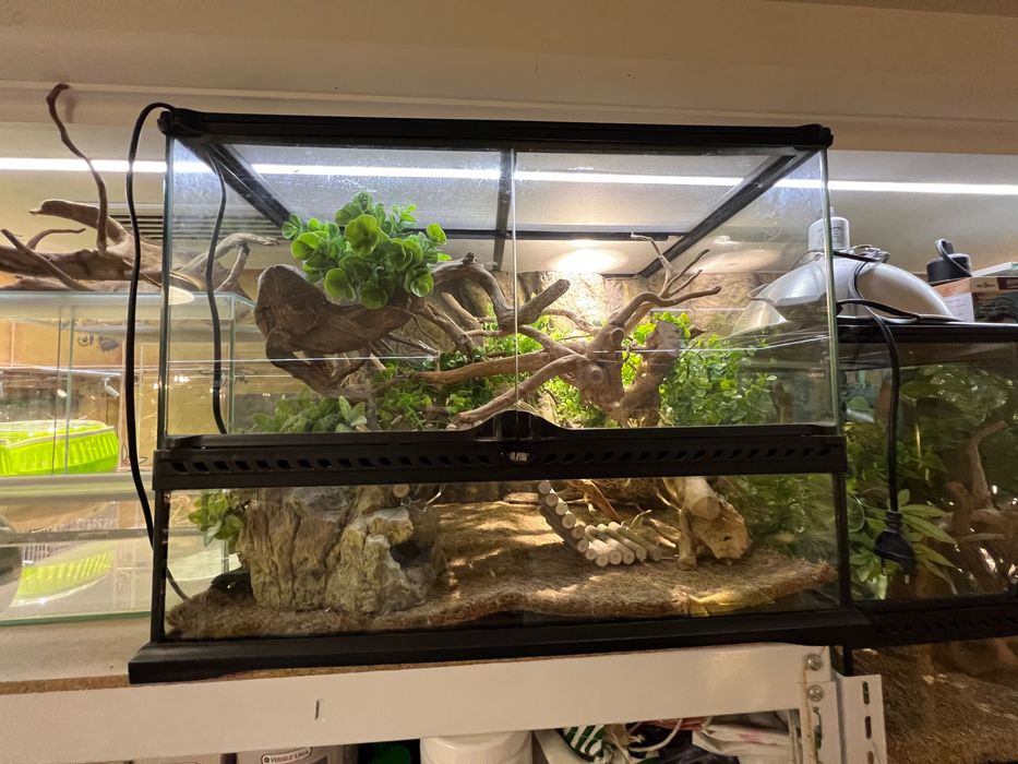 Тераріум Exoterra для королівського пітона (регіус)