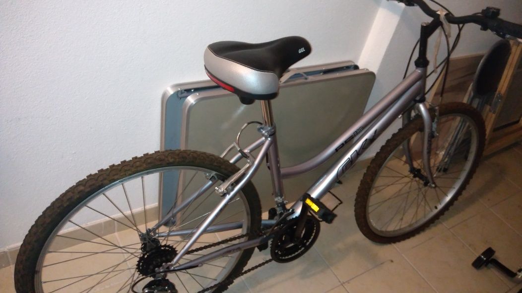 Bicicleta de montanha