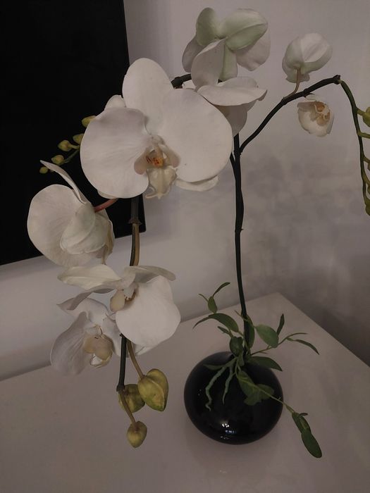 Vaso com orquídea