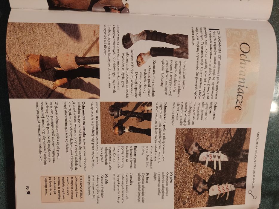 Konie i kuce Kompendium Album