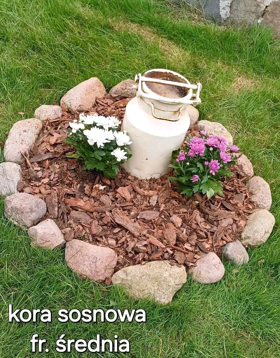 Kora sosnowa II 80l.