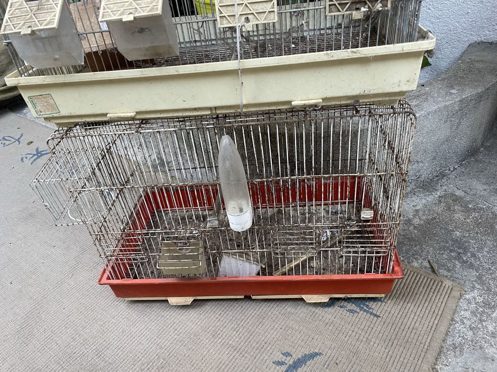 Gaiola para passaros