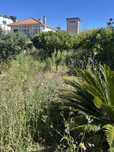 Limpeza de terrenos !!