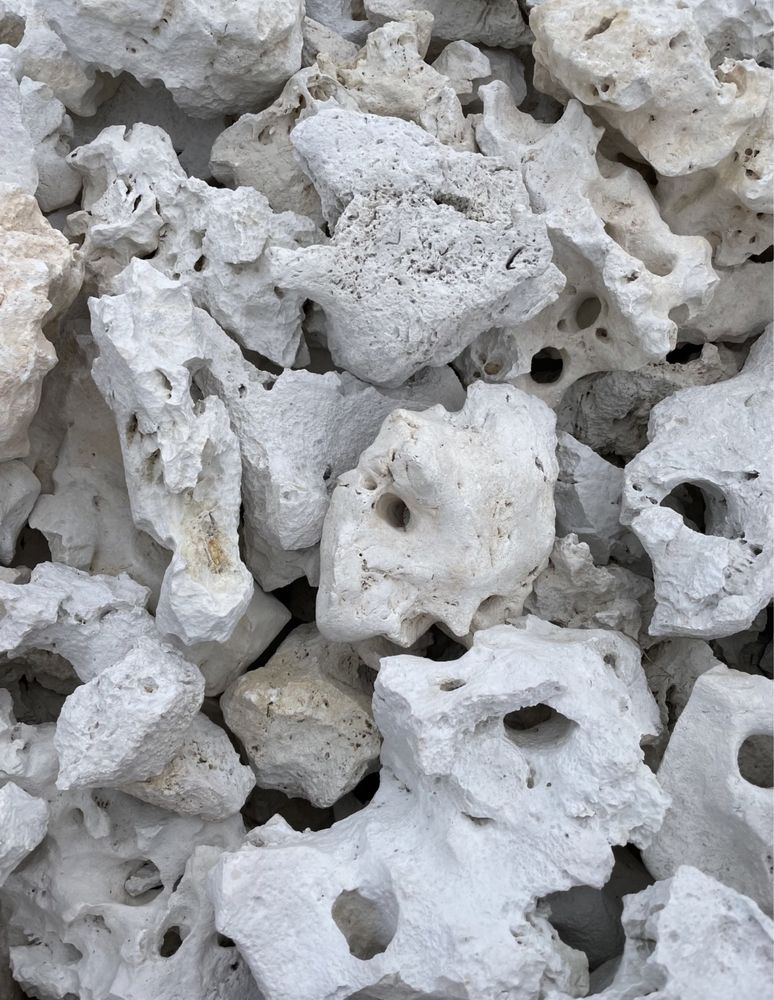 Biały WAPIEŃ FILIPIŃSKI Kamien do Akwarium Malawi Tanganika Skała Grys