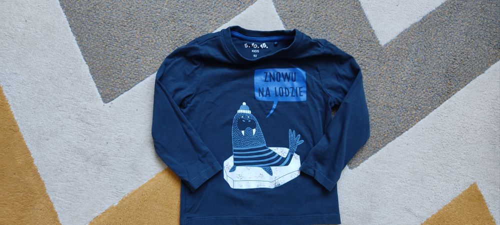 Spodnie dresowe chłopięce+ koszulka 5.10.15 r. 92