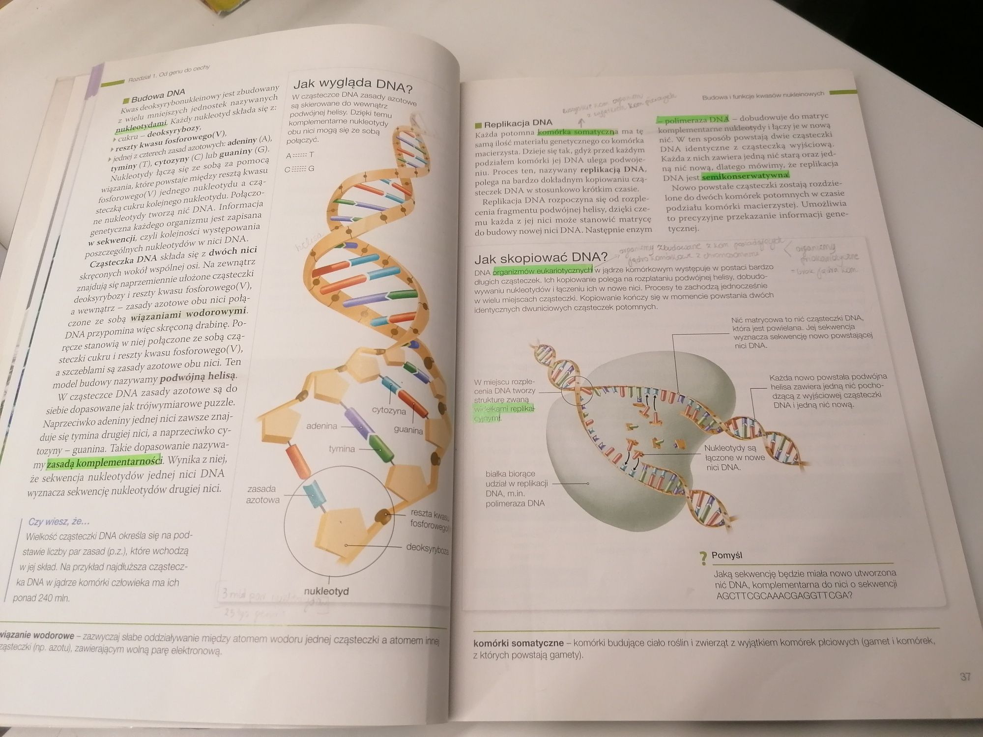 Biologia na czasie