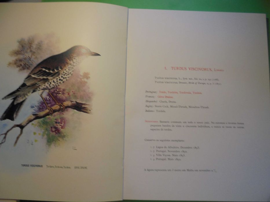 BRAGANÇA (D. Carlos de);Catálogo Ilustrados das Aves de Portugal