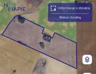 Sprzedam gospodarstwo rolne Kruszyny Duże