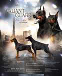 Doberman  КСУ FCI