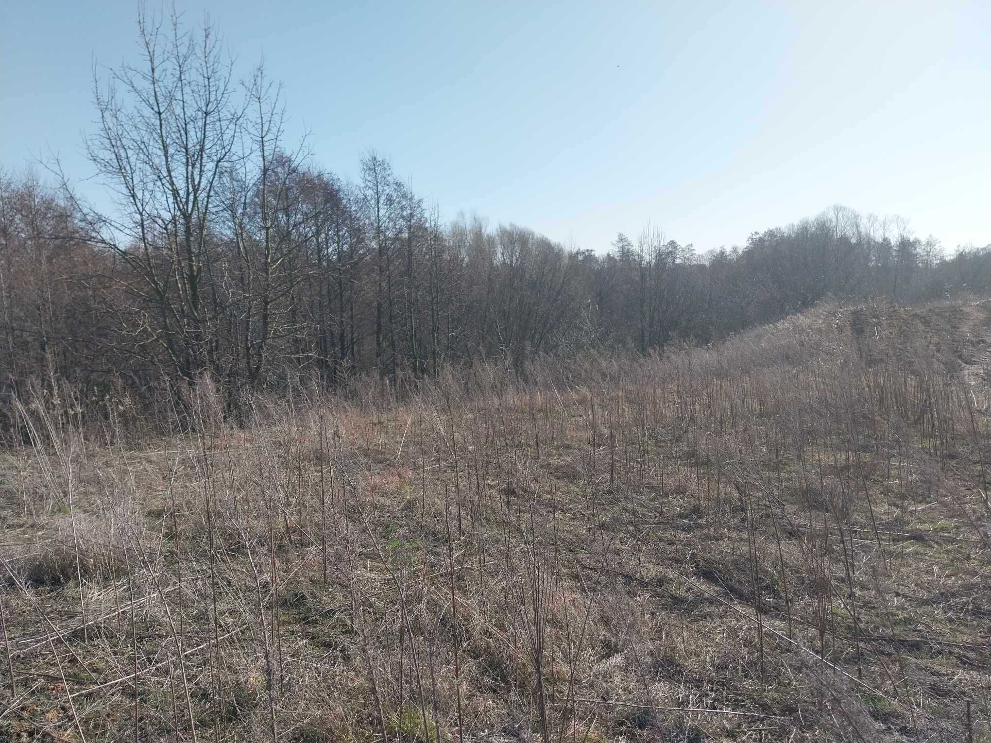 Działka budowlano-rekreacyjna 2900m2 nad jeziorem z linią brzegową