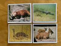 Naklejki Panini WWF nr 38, 168 182 i 190 - Zwierzęta chronione