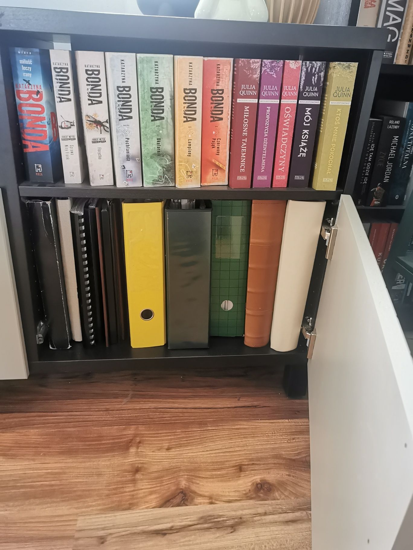 Szafka pod tv IKEA BESTA