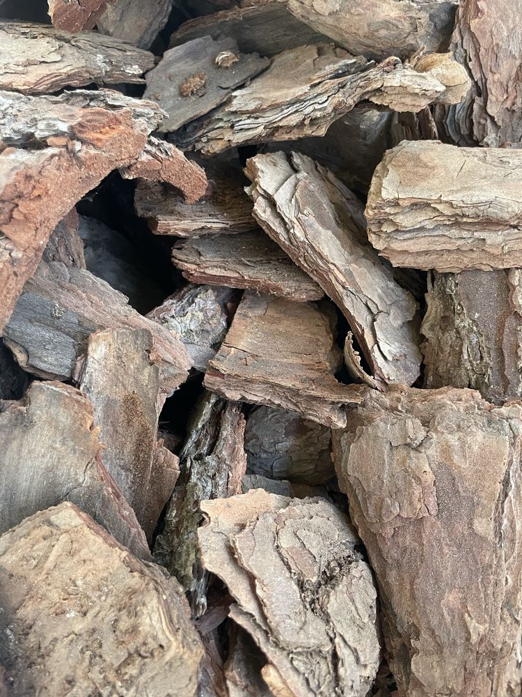 Vende-se Carrasca para jardim ou outros fins