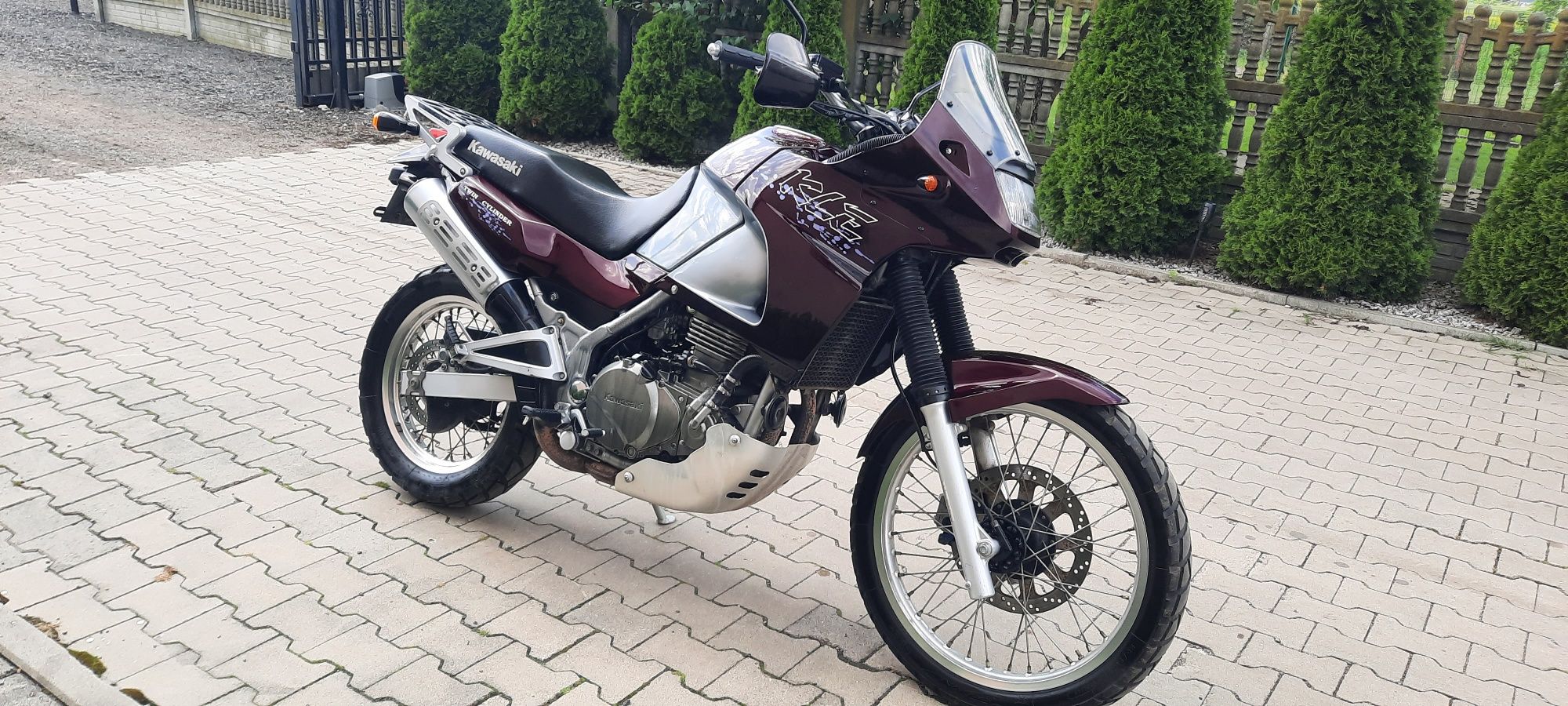 Kawasaki kle 500