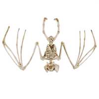 Szkielet Nietoperza na Halloween Dekoracja Nietoperz Kości Ozdoba