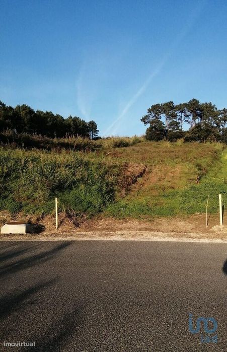 Terreno em Salir de Matos de 4623,00 m2