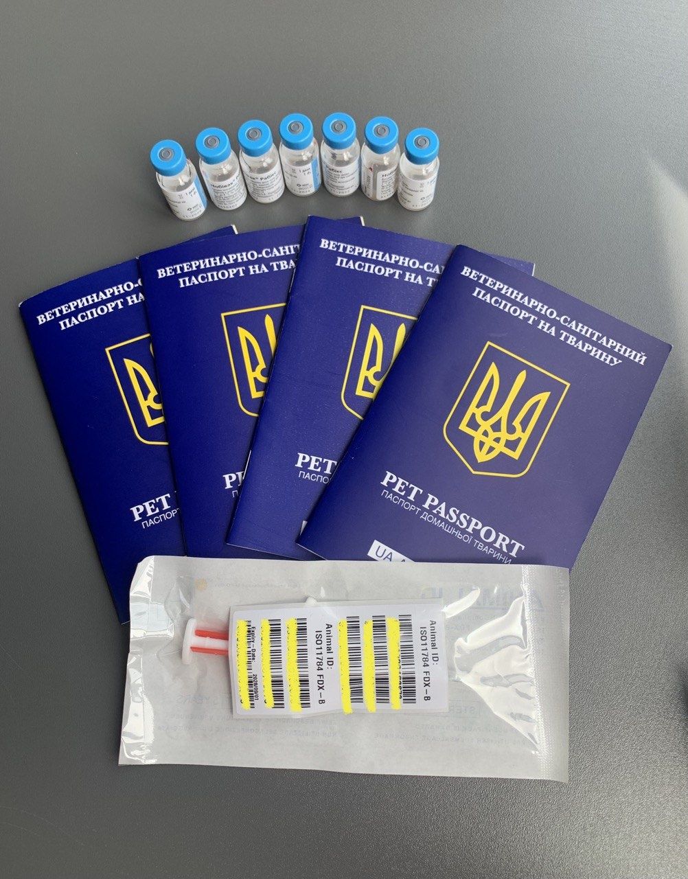 Срочні документи на собак і котів