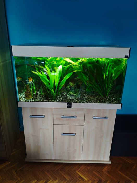 Akwarium 250l z pełnym osprzętem