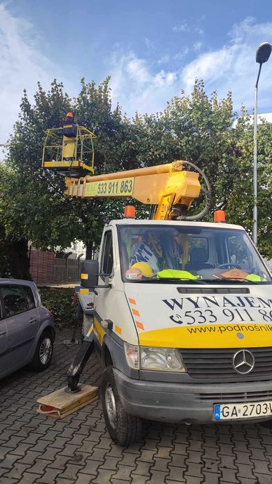 Przycinka pielęgnacyjna drzew,wycinka podnośnik koszowy 20m Gdynia