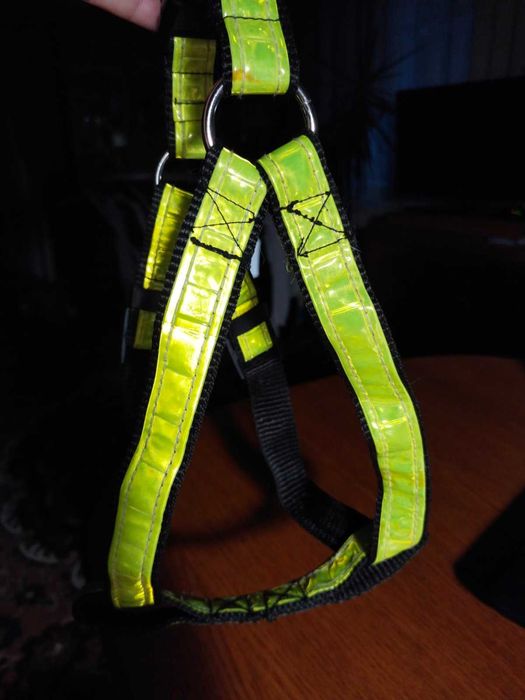 Шлея нашийник амуніціядля собаки