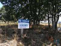 Terreno em Sabugal e Aldeia de Santo António de 56170,00 m2