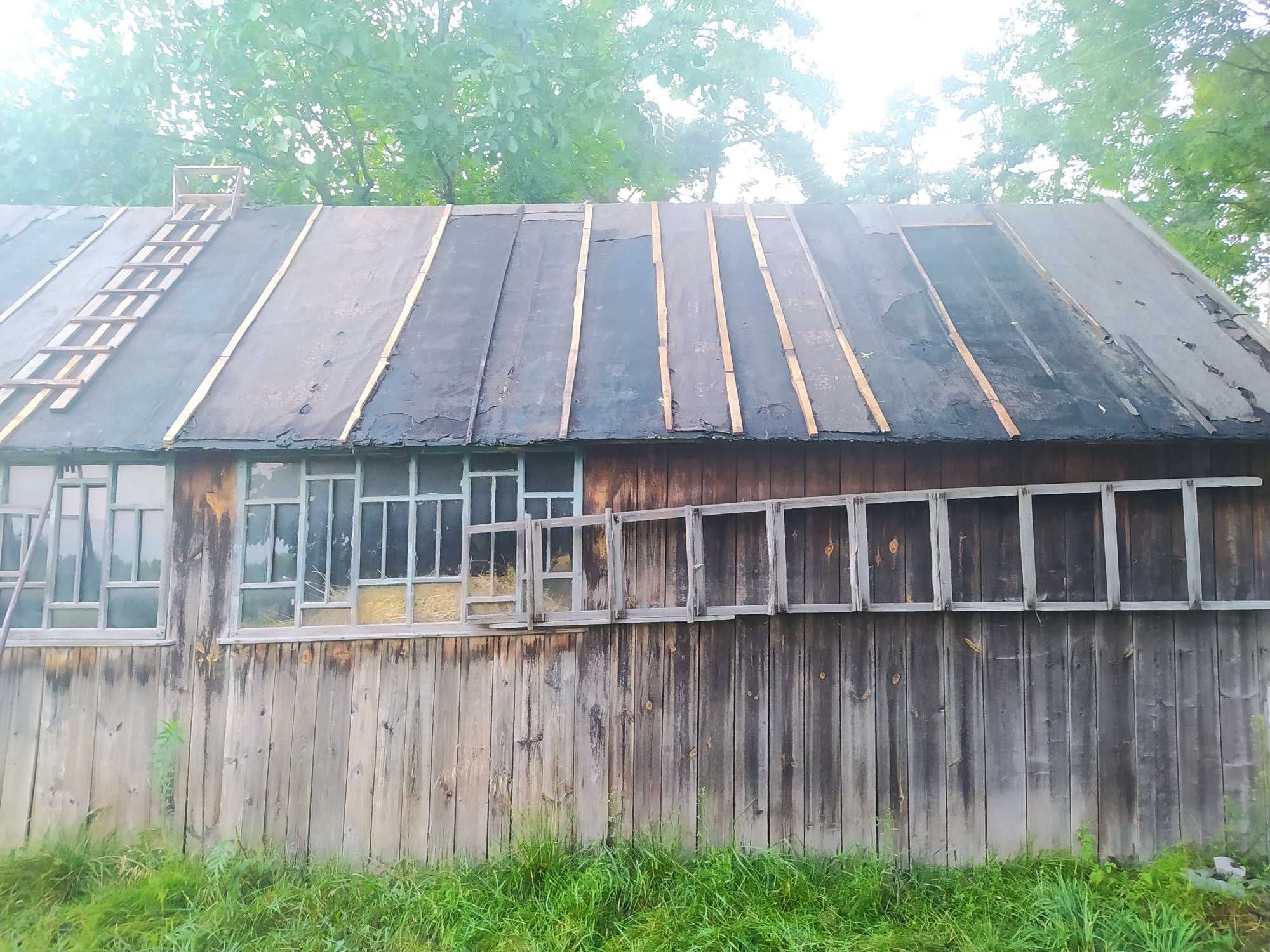 Будинок поруч з лісом. с. Ясна Поляна