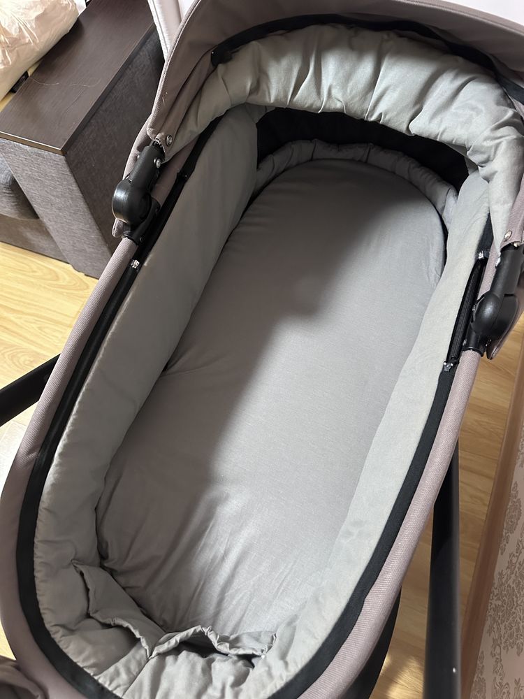 Roan Ivi 2023 Gold Rose