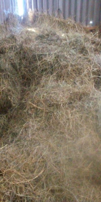 продається сіно ...