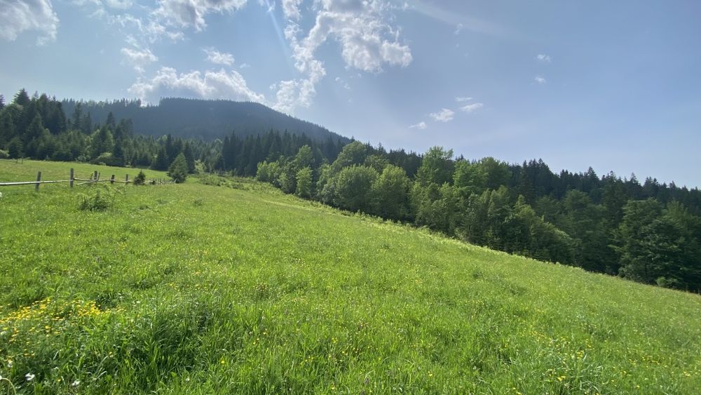 Межує з лісом, під будову і класним видом