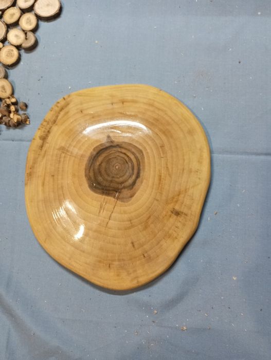 Срізи деревини з різних порід.