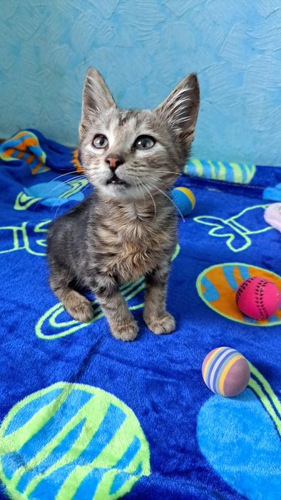 Красиві малюкі до 3х міс ручні