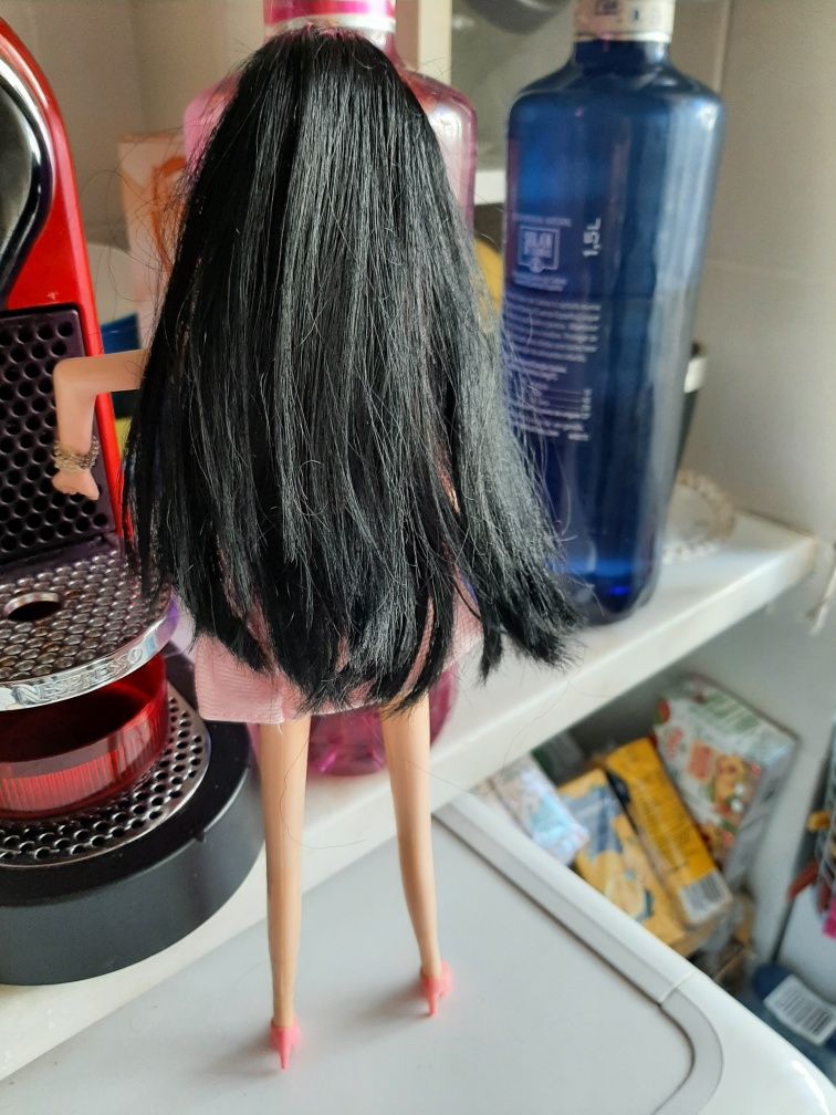 Barbie cabelo preto