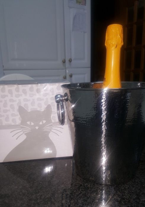 Frapé e Balde de Gelo da loja Gato Preto - Novos