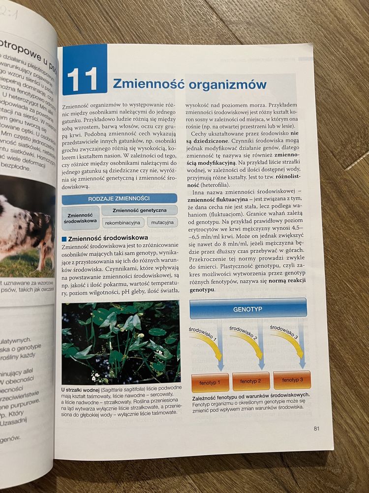 Biologia na czasie 3 nowa era matura