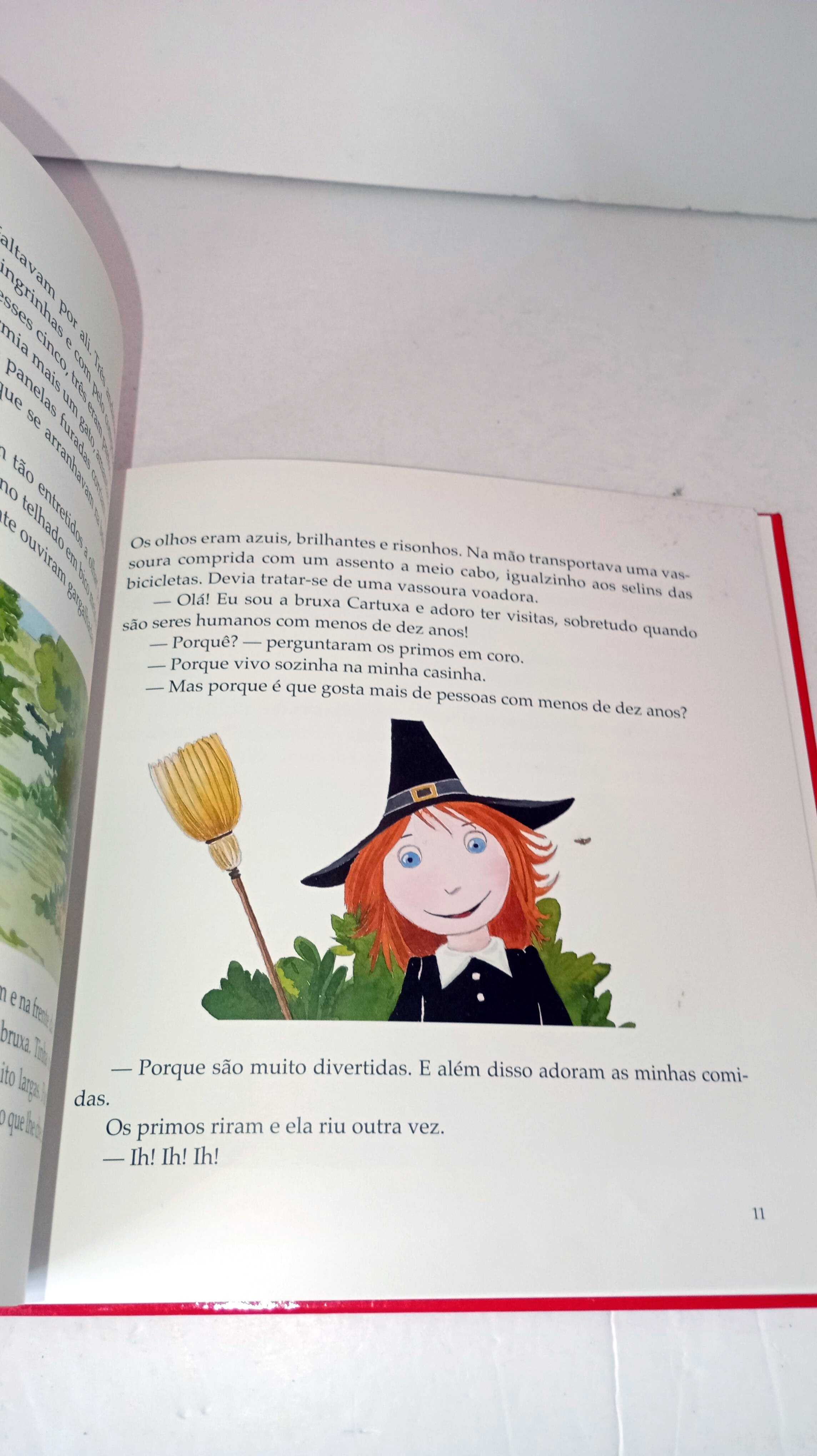 Os Primos e a Bruxa Cartuxa