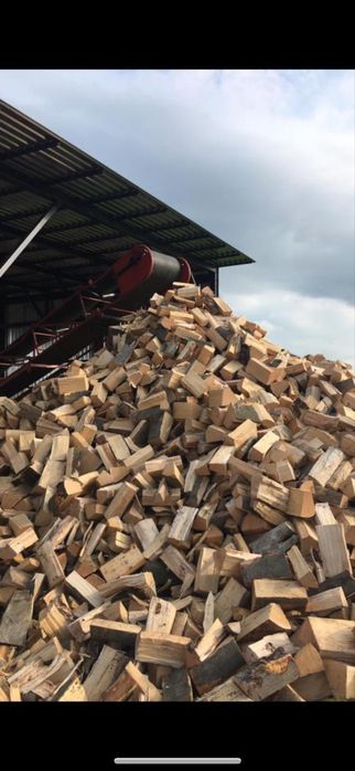 DREWNO KOMINKOWE/ opałowe/ ROZPAŁKOWE buk-świerk /
