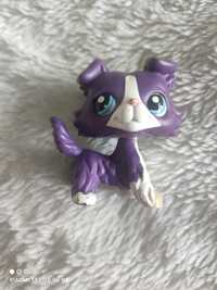 Fioletowy collie littlest pet Shop figurka