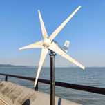 Turbina Wiatrowa Wiatrak Elektrownia 3000W 12/24/48V + Kontroler MPPT