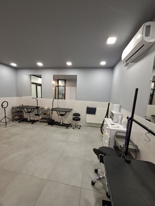 Продаж приміщення, готового бізнесу, під грумінг салон