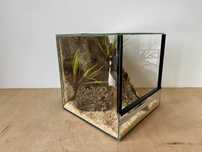 Terrarium szklane dla młodych węży 30x30x30 cm. AlleTerra