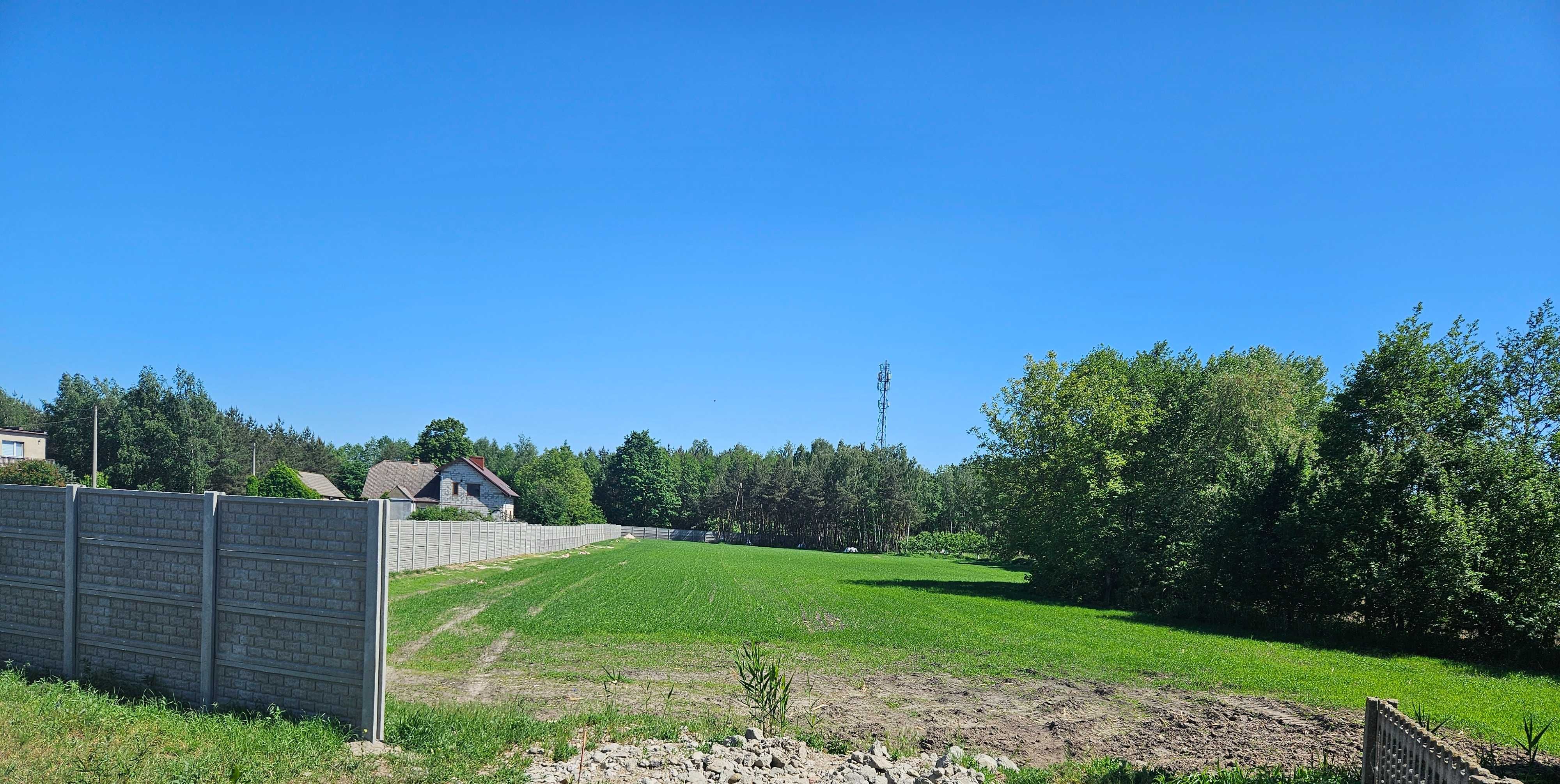 Wynajmę/ wydzierżawię plac w miejscowości Nekla o pow. ok. 1 ha