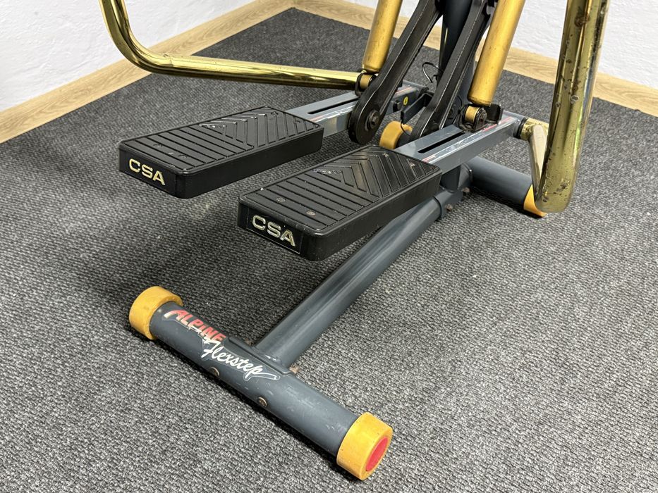 Stepper Alpine FlexStep