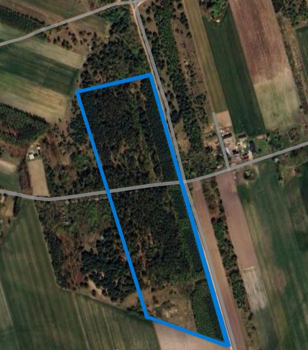 Sprzedam las, 4,5 ha, Jarochówek