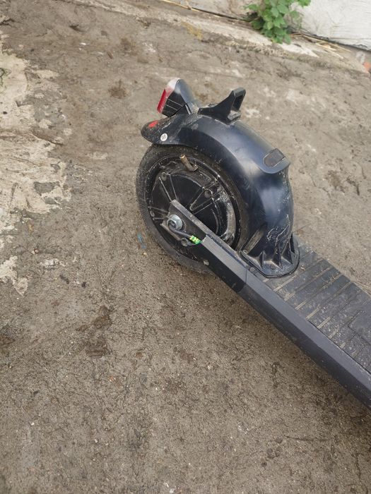 Frugal Alpha stan db