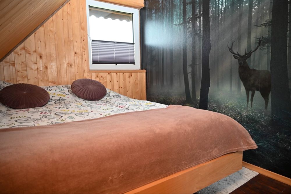 Domek letniskowy w Soplach z sauną i jaccuzi
